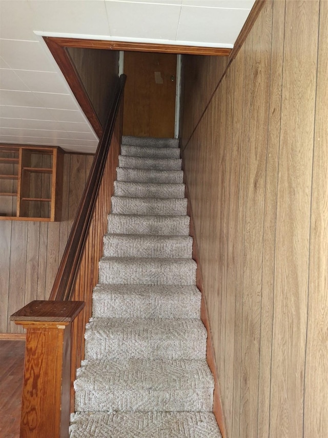 stairway with wood walls