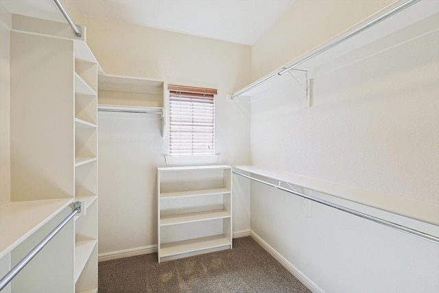 spacious closet featuring dark carpet