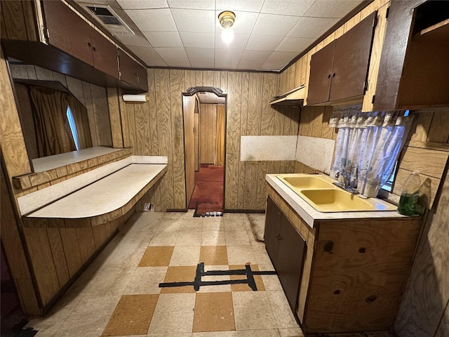 kitchen featuring sink and wooden walls