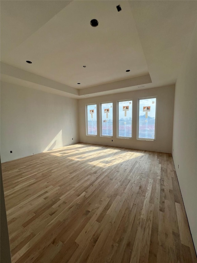 unfurnished room with light wood finished floors and a raised ceiling