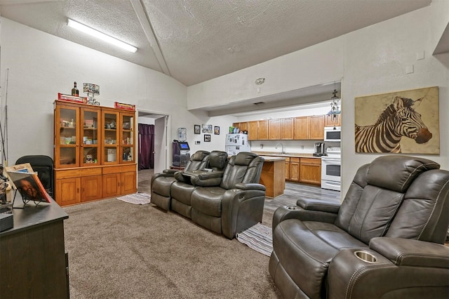 carpeted living room with lofted ceiling, sink, and a textured ceiling