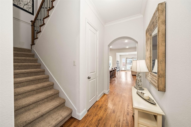 interior space featuring ornamental molding and hardwood / wood-style floors