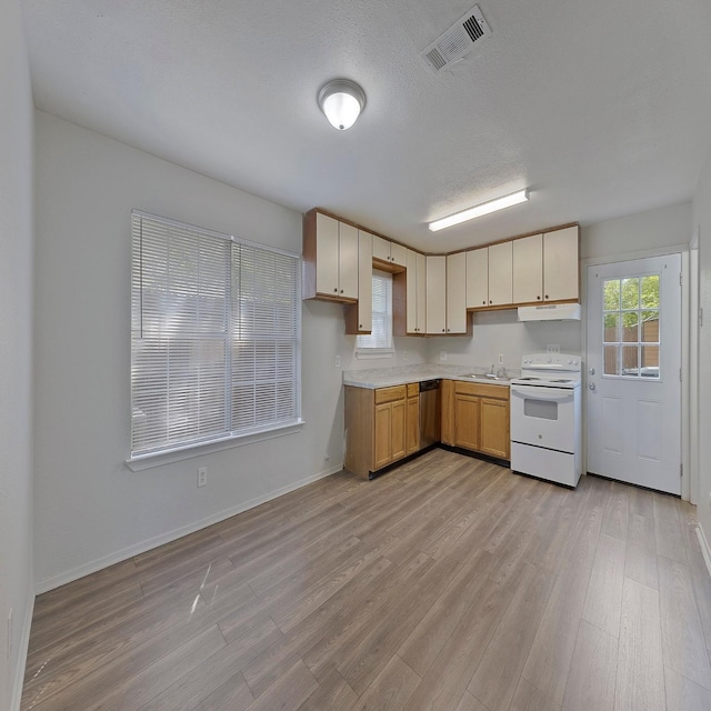 kitchen featuring sink, stainless steel dishwasher, white electric range oven, light hardwood / wood-style floors, and a textured ceiling