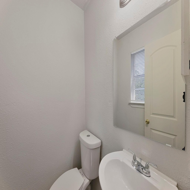 bathroom with toilet and sink