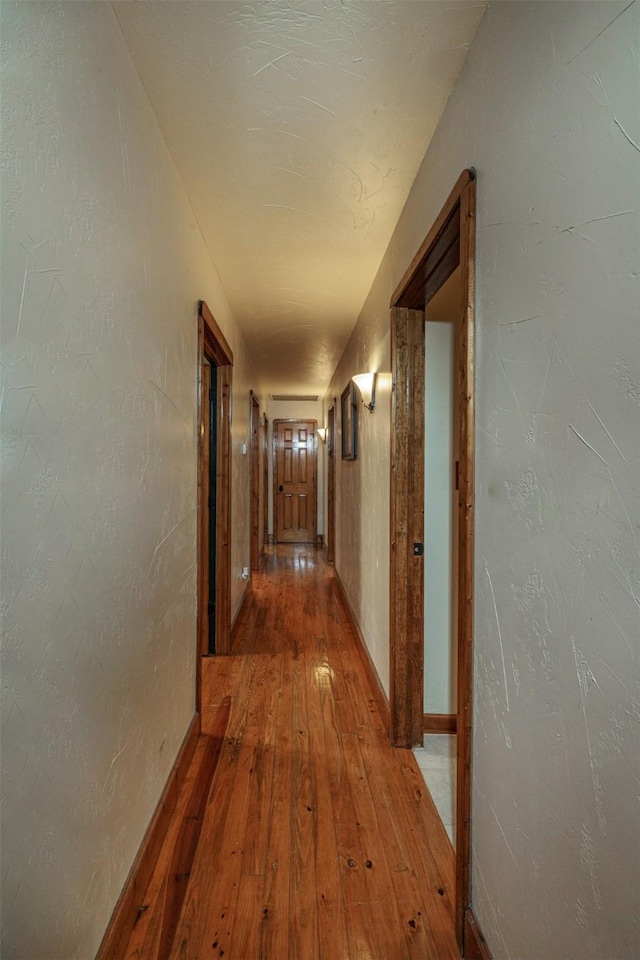 hallway with hardwood / wood-style floors