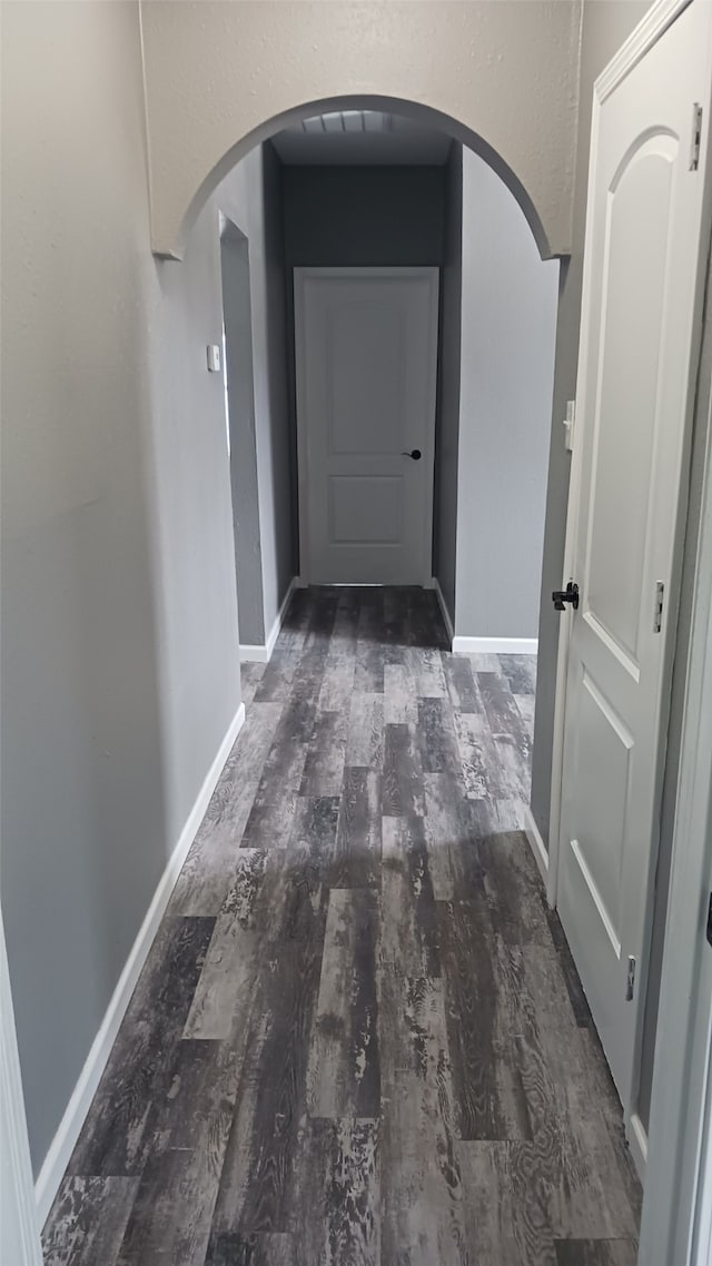 corridor featuring dark hardwood / wood-style flooring