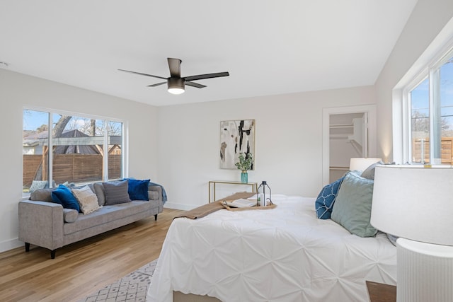 bedroom featuring a closet, a walk in closet, ceiling fan, and light hardwood / wood-style floors