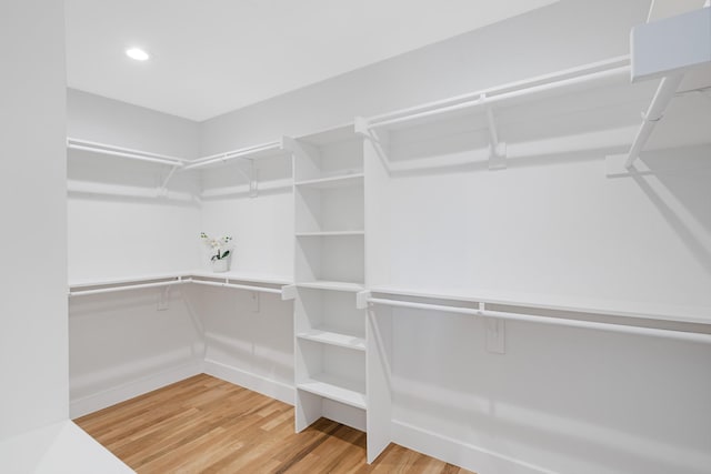 spacious closet with wood-type flooring