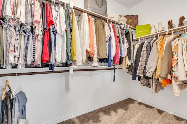 spacious closet featuring carpet floors