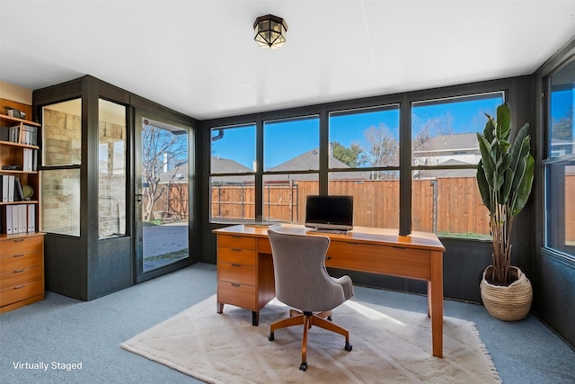 home office featuring a wealth of natural light and light colored carpet