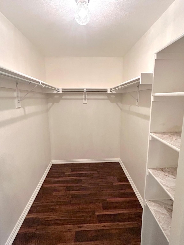 spacious closet featuring dark hardwood / wood-style floors