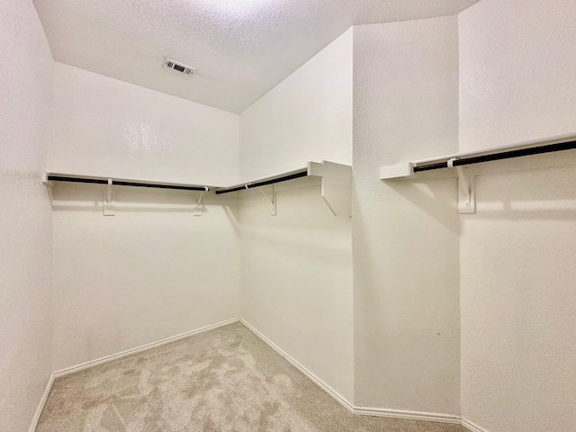 walk in closet with light colored carpet