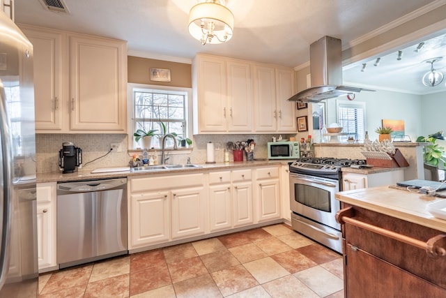 kitchen with sink, plenty of natural light, stainless steel appliances, and island exhaust hood