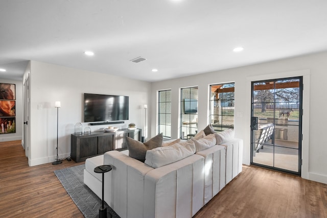 living room featuring hardwood / wood-style floors and plenty of natural light