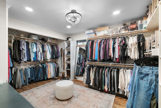 spacious closet featuring wood-type flooring