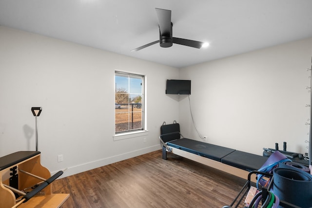 workout area featuring dark hardwood / wood-style floors and ceiling fan