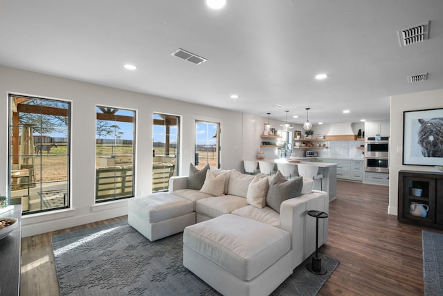 living room featuring dark hardwood / wood-style flooring