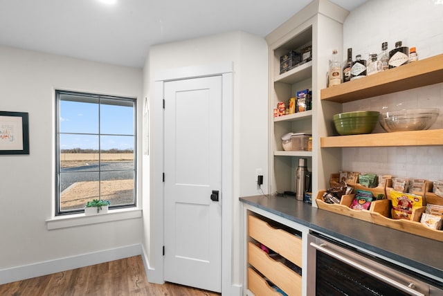 pantry with wine cooler