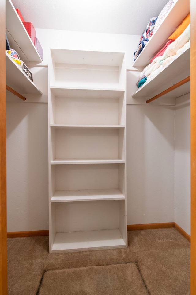 walk in closet with carpet floors