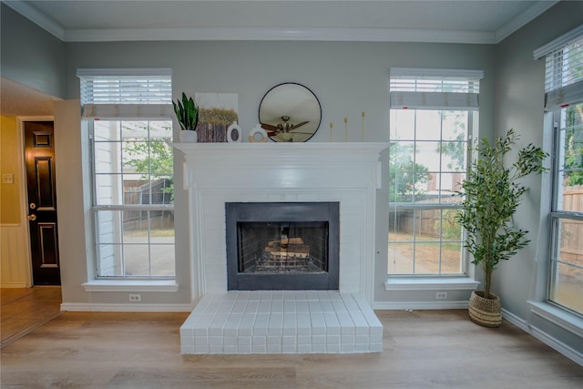 details with crown molding and wood-type flooring