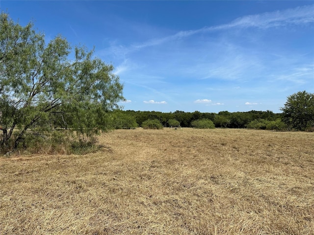 0000 County Road 132, Terrell TX, 75161 land for sale