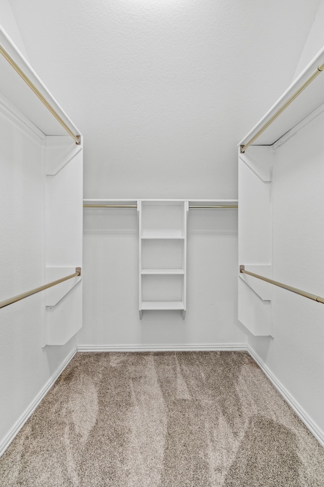 spacious closet with carpet floors