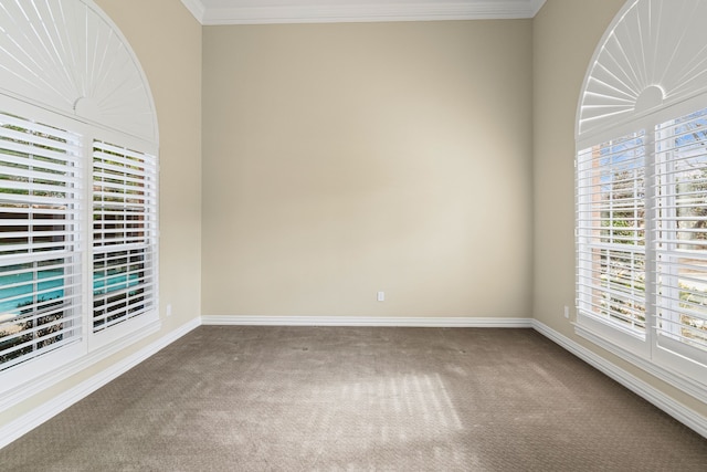 carpeted empty room featuring crown molding