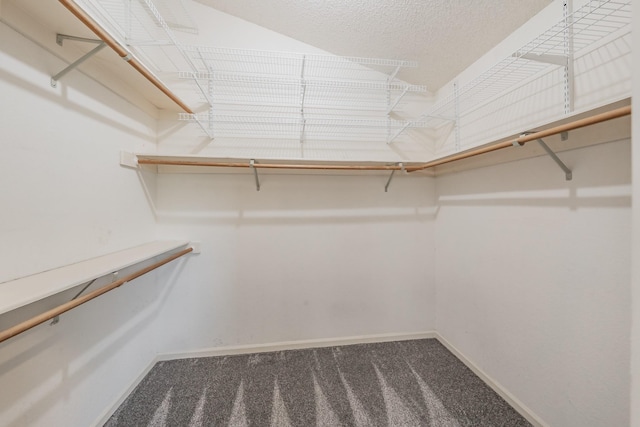 spacious closet with carpet flooring