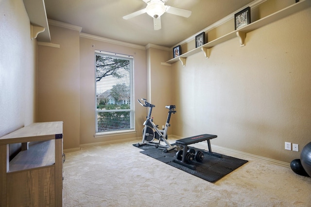 workout area featuring ceiling fan, carpet flooring, and ornamental molding