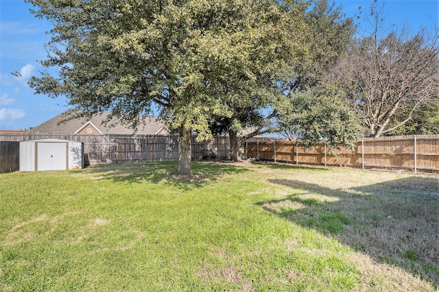 view of yard with a storage shed