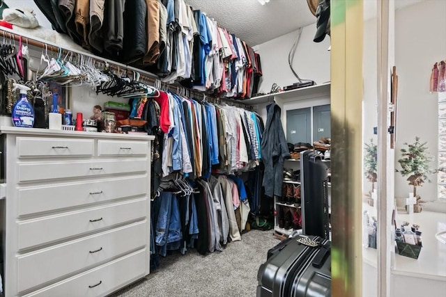 spacious closet with light carpet