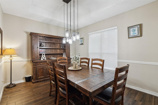 dining area with dark hardwood / wood-style flooring