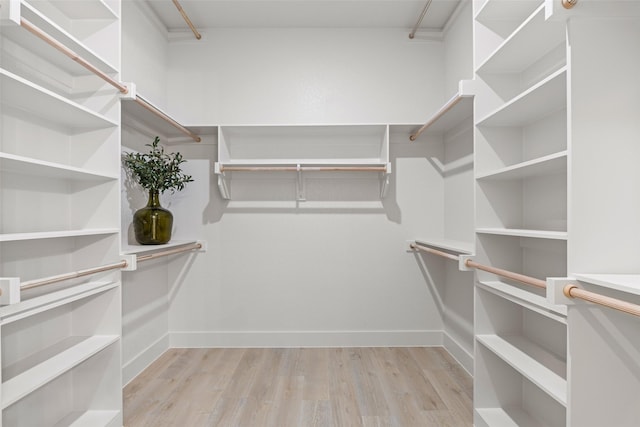 spacious closet with light wood-type flooring