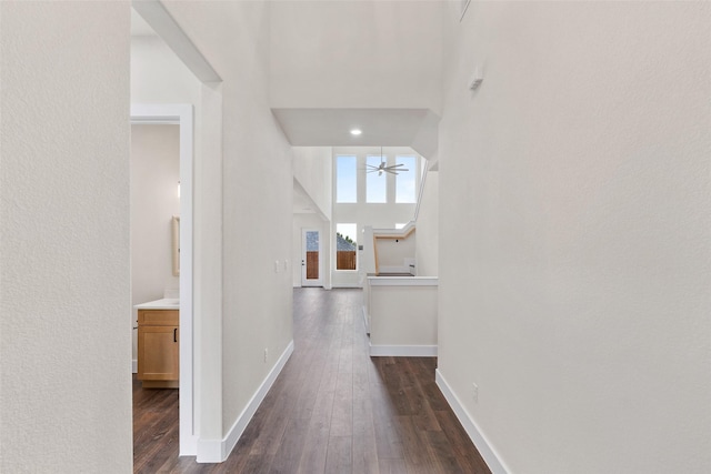 hall with a towering ceiling and dark hardwood / wood-style floors