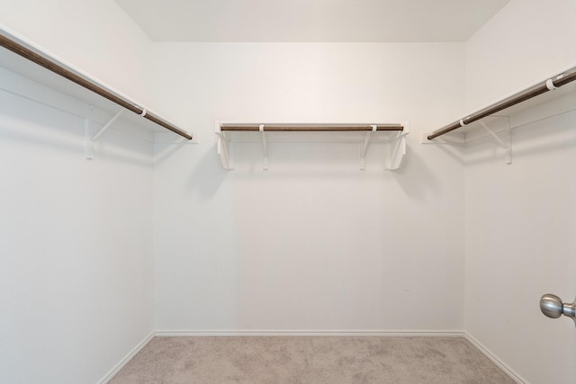 305 Grenada Lake Dr, Princeton, TX 75407 - walk in closet featuring light carpet