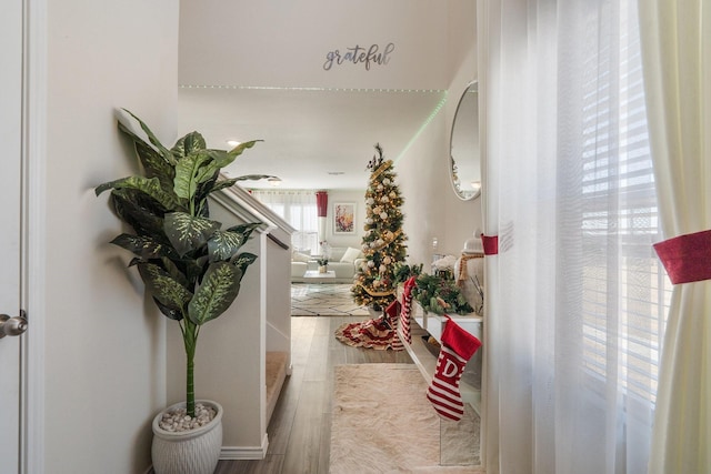 305 Grenada Lake Dr, Princeton, TX 75407 - hall featuring hardwood / wood-style flooring