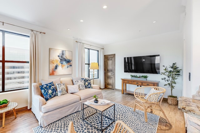 living room featuring light hardwood / wood-style flooring