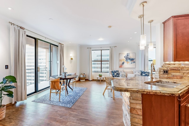 kitchen with pendant lighting, sink, hardwood / wood-style floors, and a healthy amount of sunlight