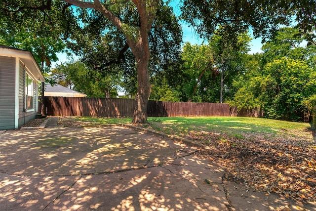 view of yard featuring a patio