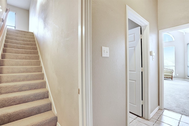 stairs with carpet flooring