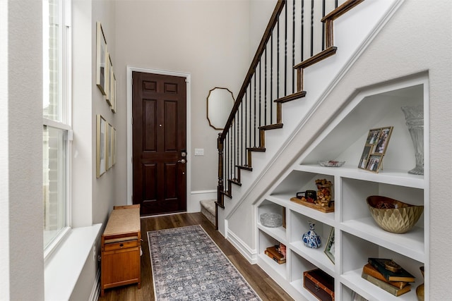 entrance foyer with dark wood-type flooring