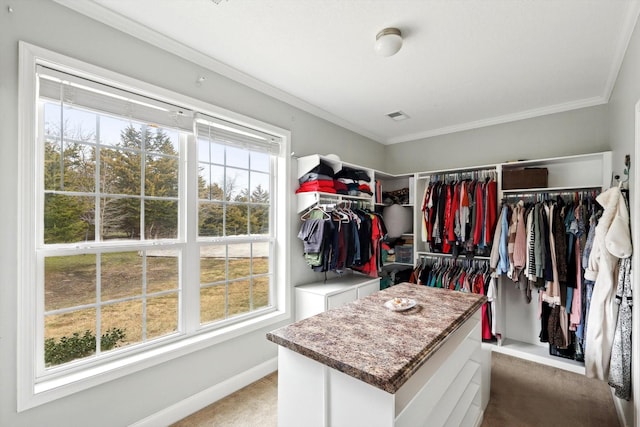 spacious closet featuring carpet