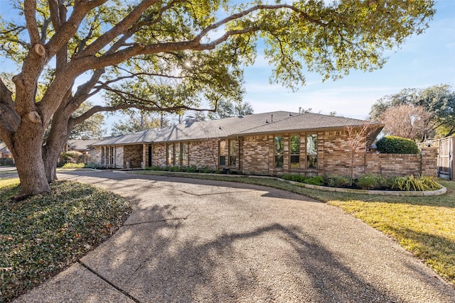 ranch-style house featuring a front yard