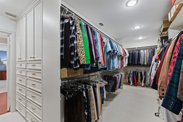 view of spacious closet