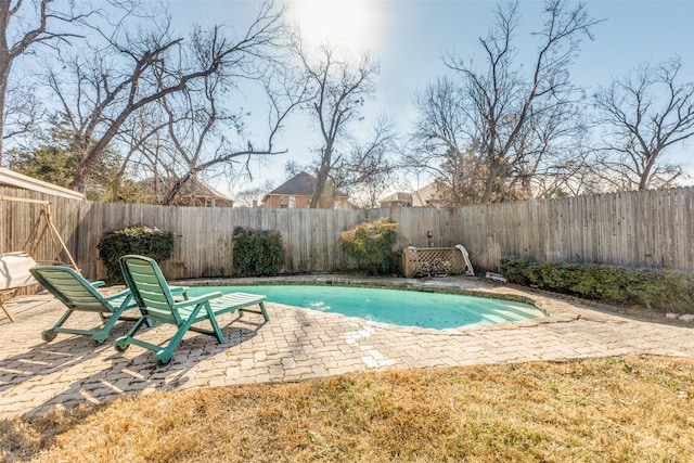 view of pool with a patio area