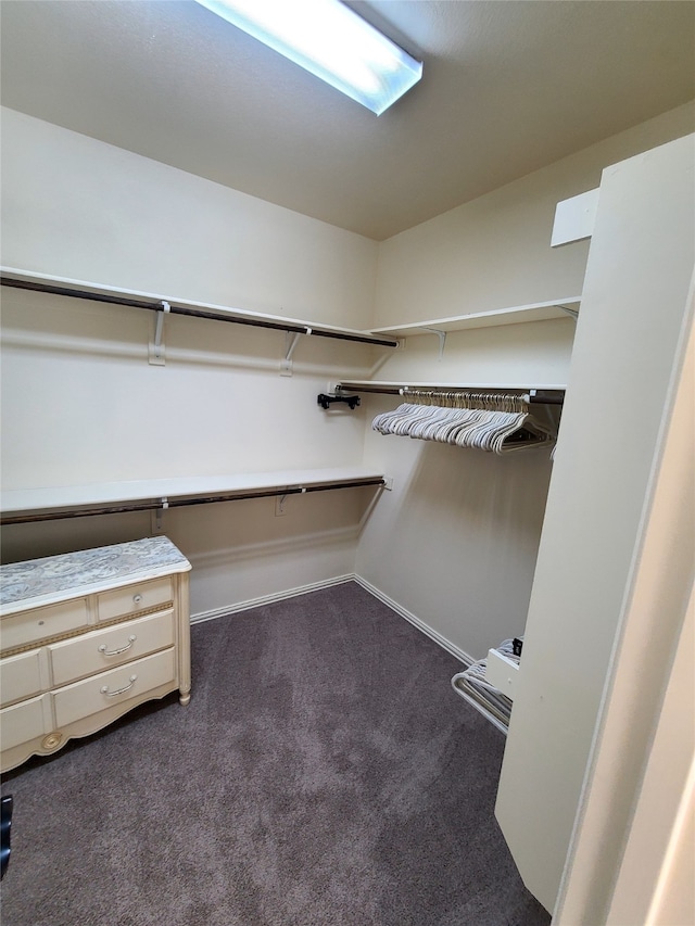 walk in closet with dark colored carpet