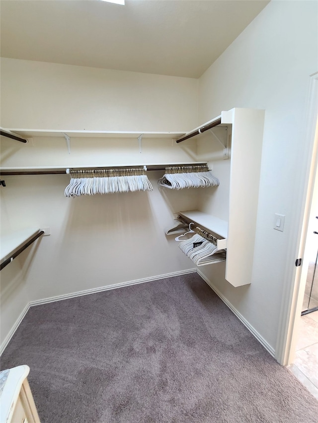 spacious closet featuring carpet