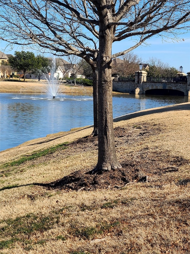 water view