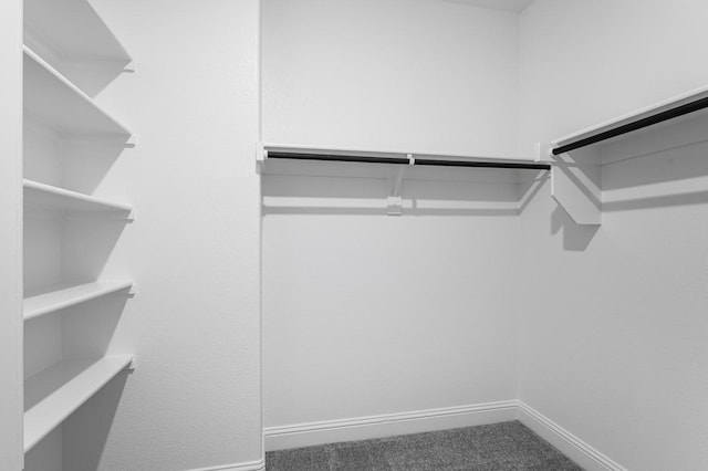 1533 Ginger Ln, Argyle, TX 76226 - walk in closet featuring carpet