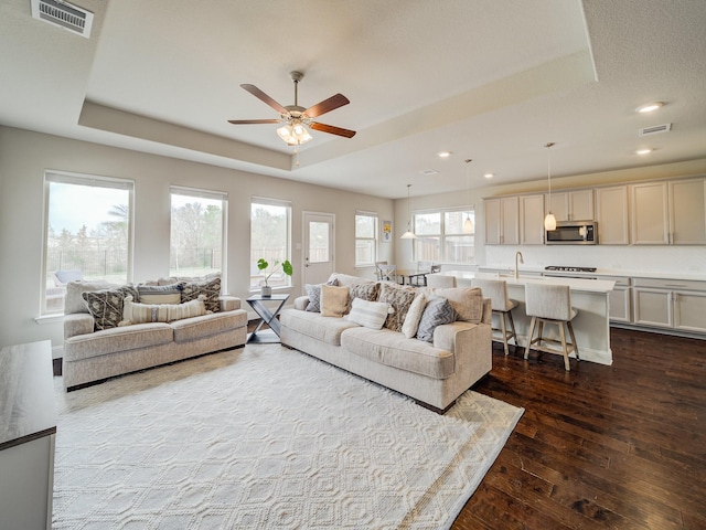 3124 Creek Meadow Dr, Anna, TX 75409 - living room featuring a tray ceiling, dark wood-type flooring, and visible vents